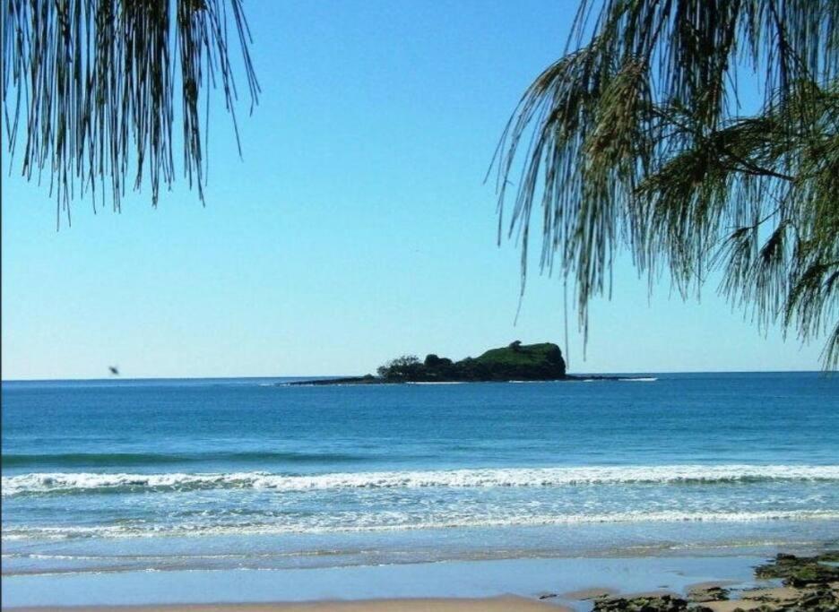 Lil Sass — Sunshine Coast — photo 2