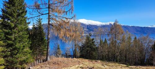 Vesletun — Balestrand — photo 3