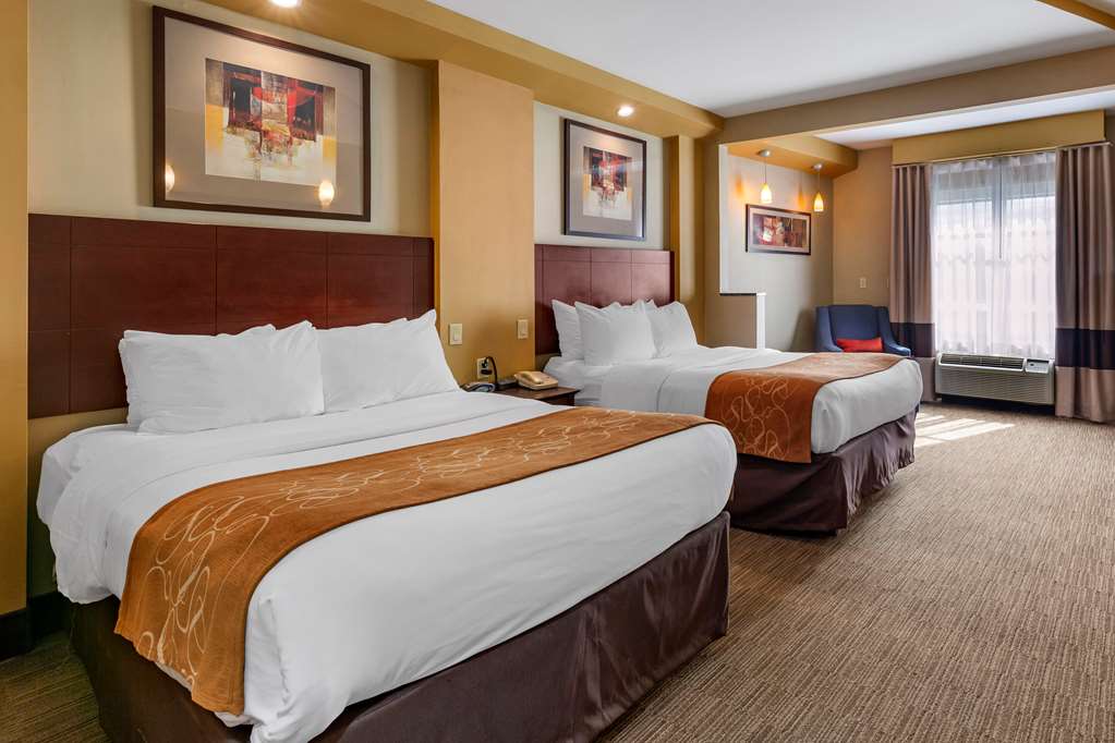 Comfort Suites Perrysburg Toledo South - photo 24