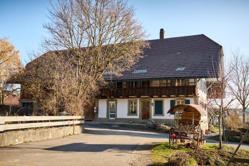 Gruppenunterkunft mit Billardtisch und Lamatrekking in Bern, Switzerland