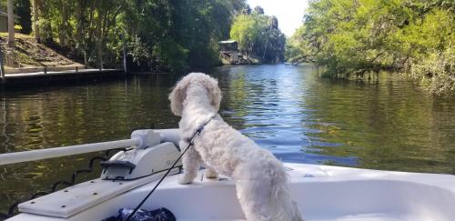 Minutes to boat ramps and beach and private pool — 4-Star Luxury Hotel in Crystal River, United States