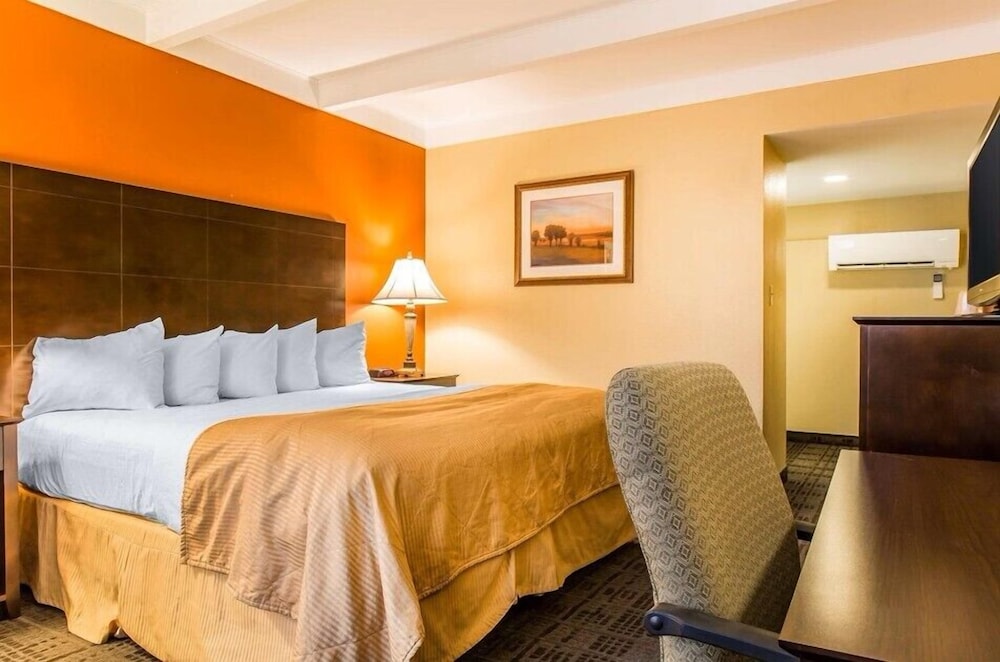 Hamden Hotel & Suites - photo 8