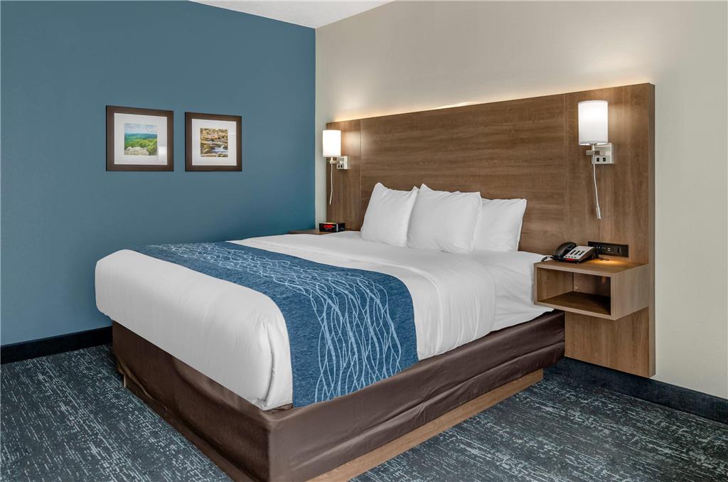 Comfort Inn & Suites Troutville Roanoke North - photo 7