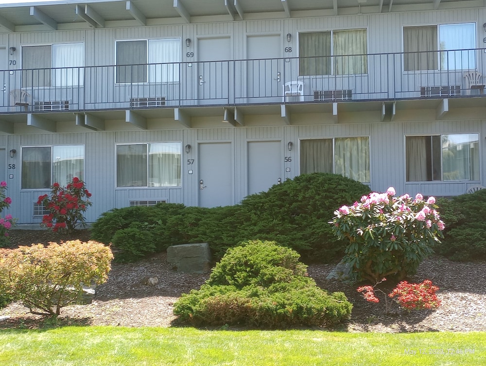 Cocusa Motel - photo 138