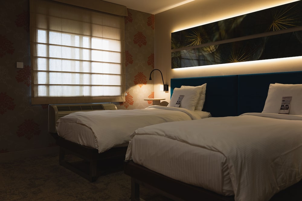 Hotel Le Jolie - photo 8