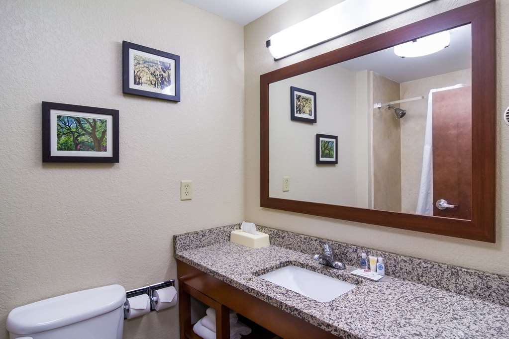 Comfort Inn Blackshear Hwy 84 - photo 20