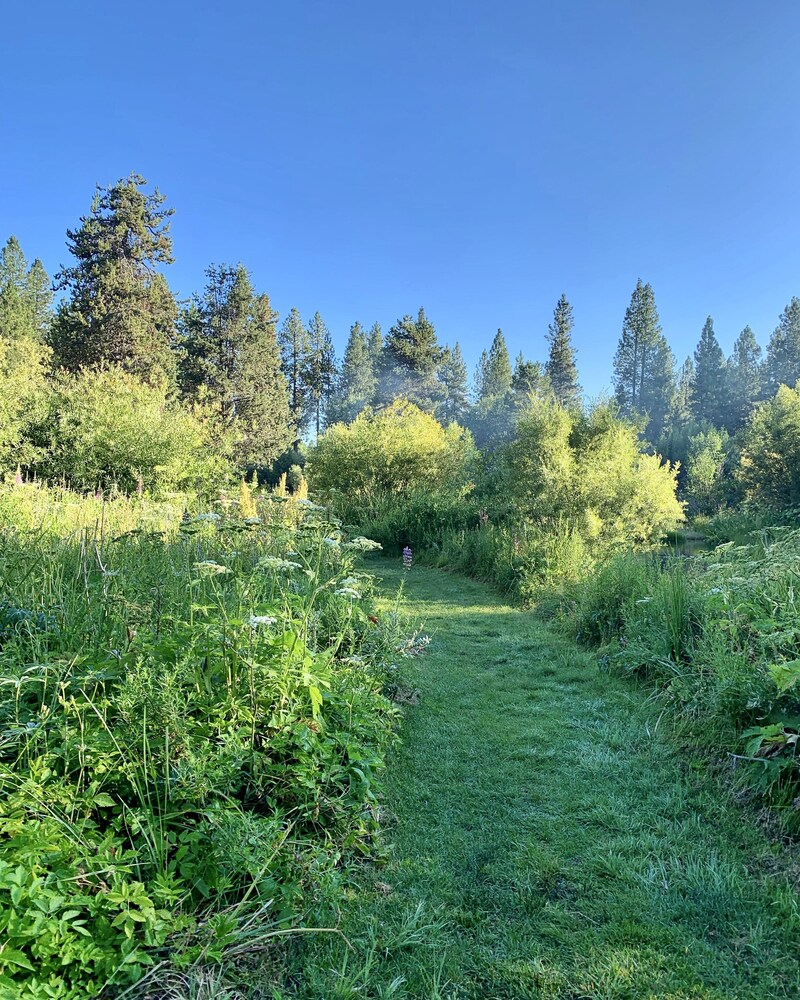 Crater Lake Resort - photo 91