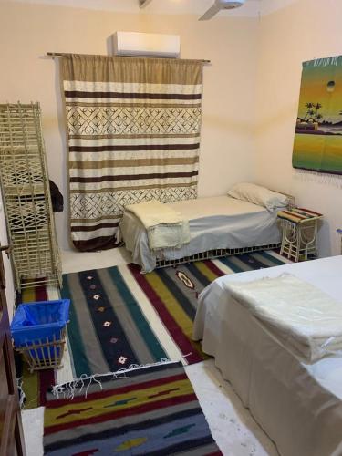 Shahd Siwa — Siwa Oasis