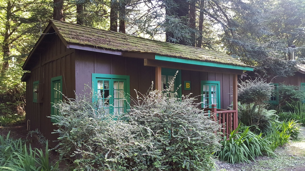 Emerald Forest Cabins - photo 87