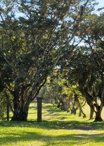 Recanto Bamboo Verde in Torres, Brasil