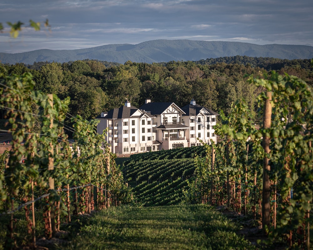 Nicewonder Farm Vineyard — Bristol