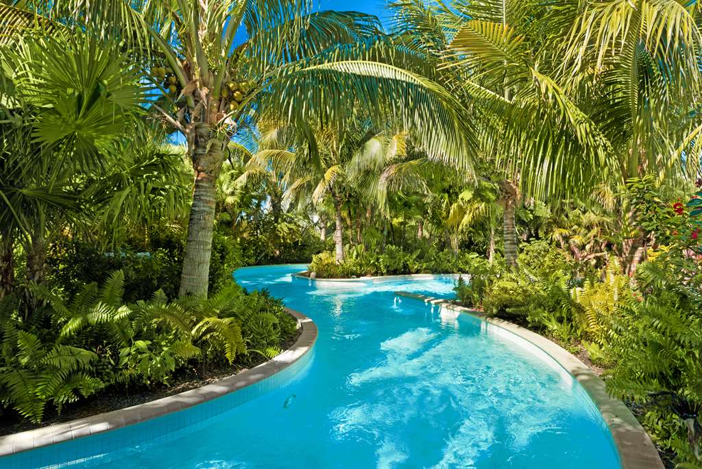 Hyatt Regency Coconut Point Resort & Spa - photo 6