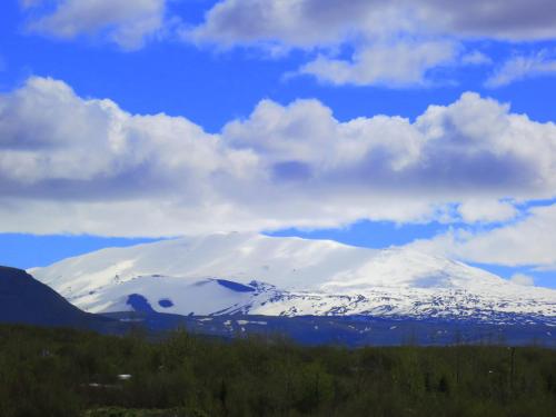 Ásólfsstaðir Miðtún
