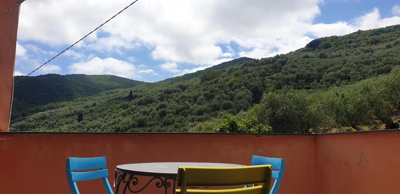 Piccolo rifugio nel Verde pet-friendly hotel Chiusavecchia