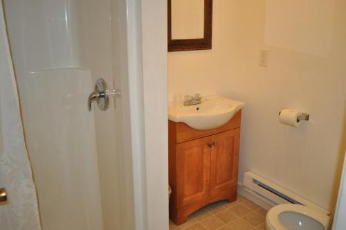 Golden Lion Motel - photo 12