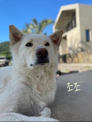 Jeju Jeojiantre in Jeju City, South Korea