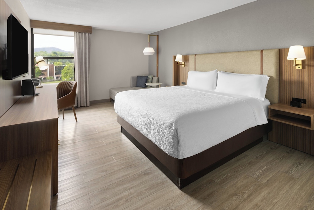 Holiday Inn Roanoke Tanglewood Rt 419&i581 by IHG - photo 8
