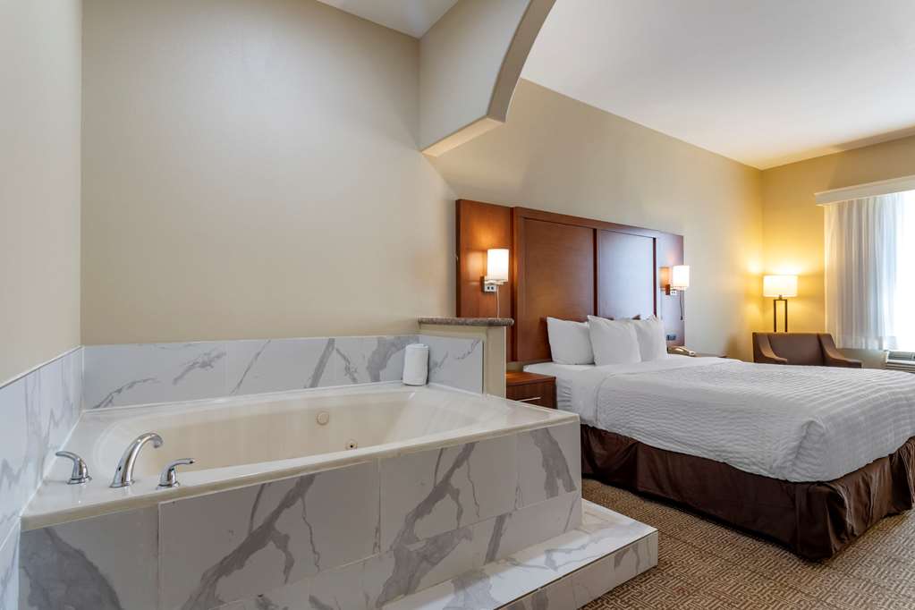 Comfort Suites Houston near Medical Center NRG Stadium - photo 21