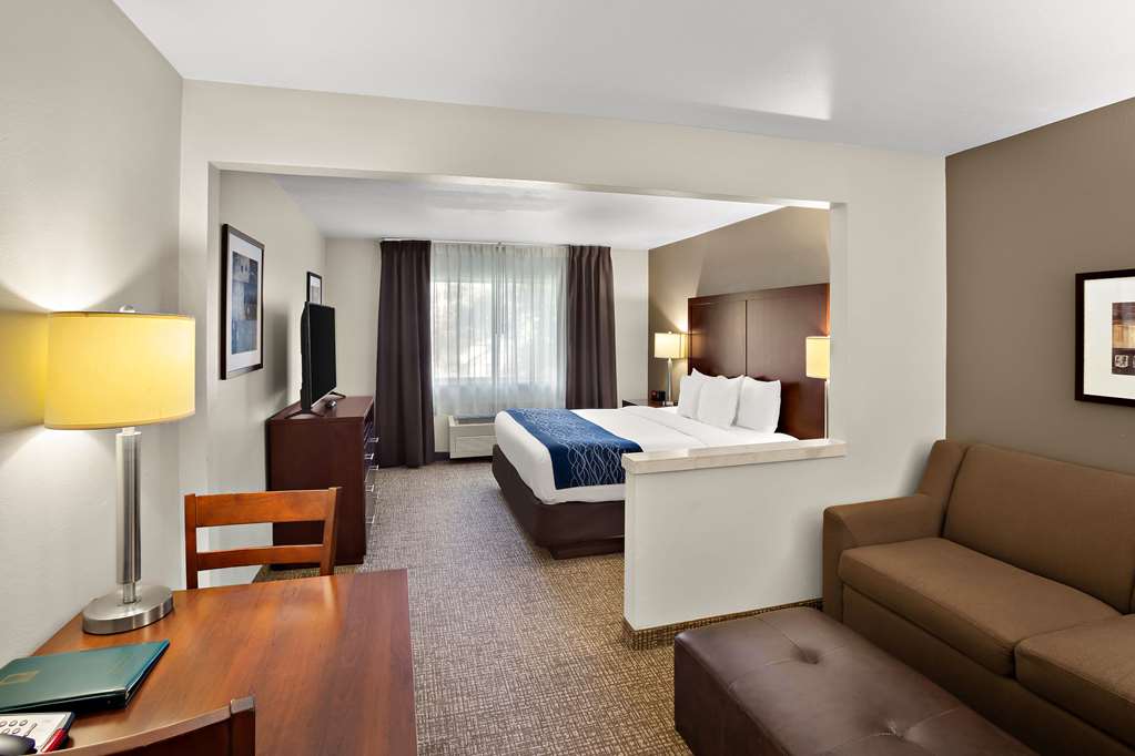 Comfort Inn Lacey Olympia - photo 21