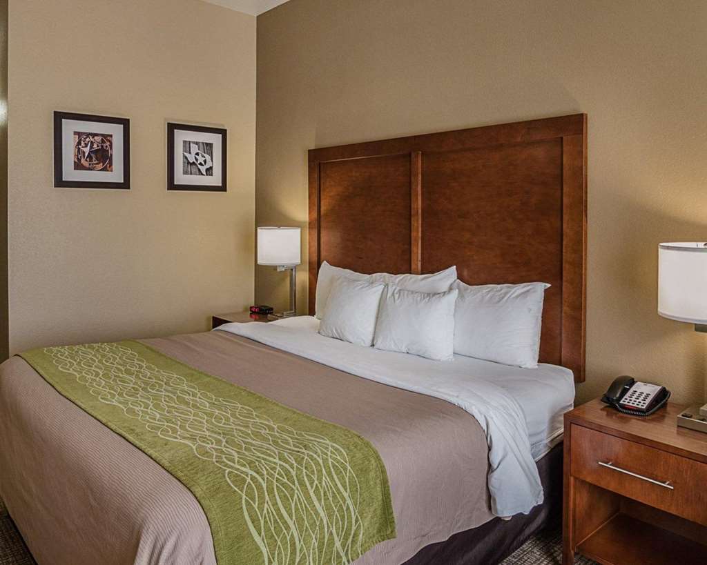Comfort Inn Midland South I 20 - photo 10