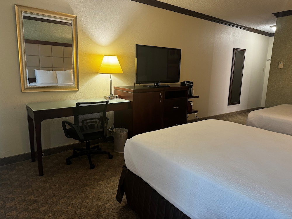 Wingate Houston near NRG Park Medical Center - photo 19