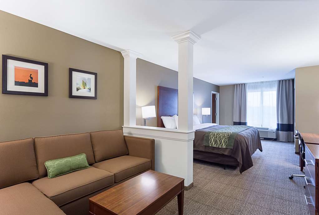 Comfort Inn & Suites Zachary - photo 35