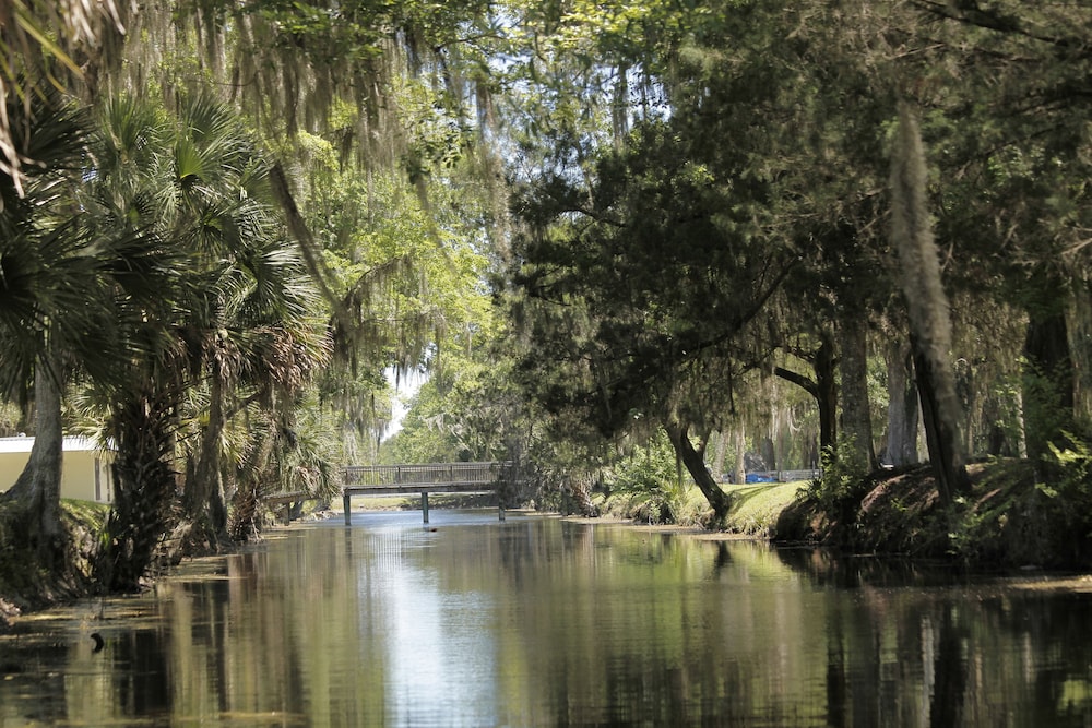 Bulow RV Resort - photo 5