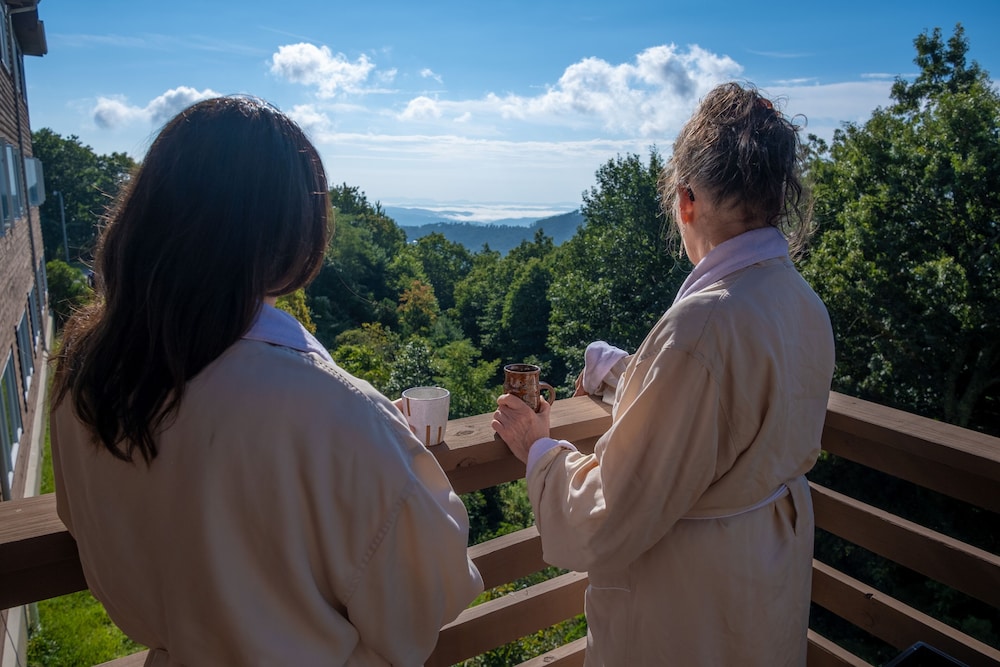 Art of Living Retreat Center - photo 68