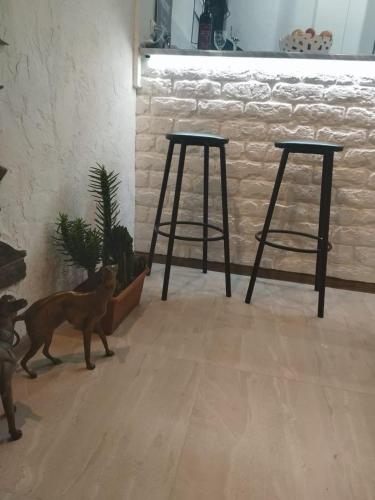 4 Chocolate Apartments In Old Tbilisi