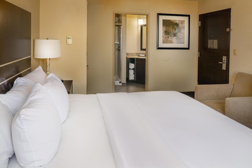 Hampton Inn by Hilton St. Louis Airport - photo 36