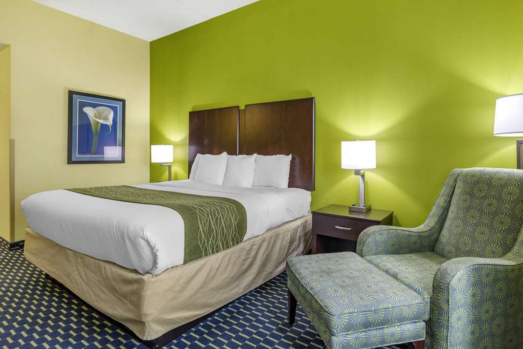 Comfort Inn Athens - photo 14