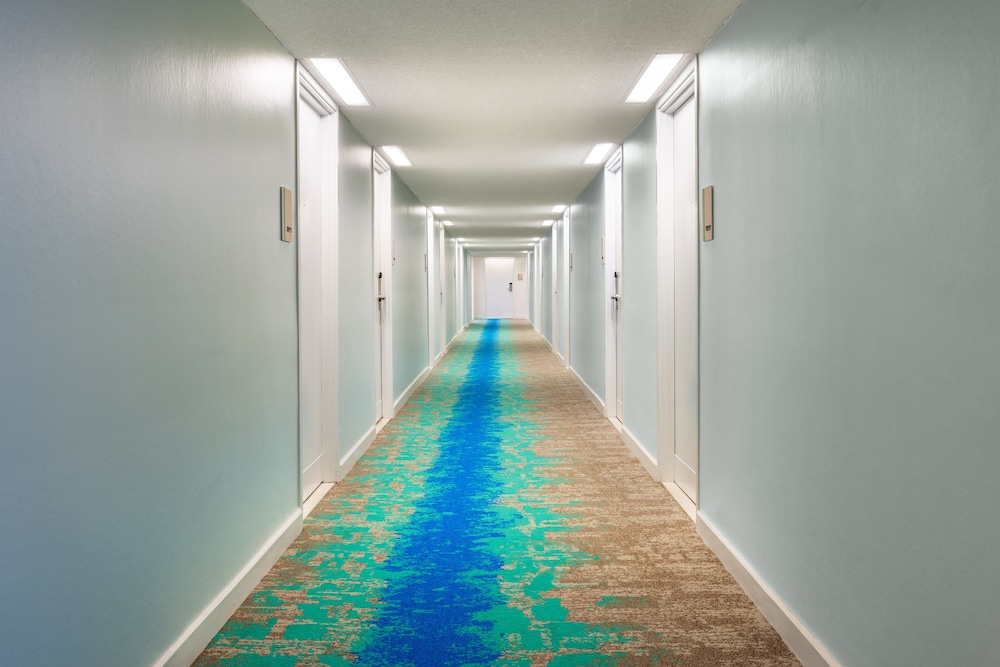 The Twin Fin Hotel - photo 55