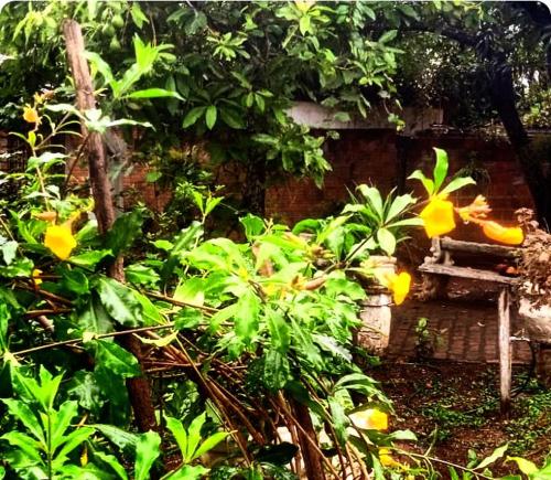 Pousada Pé na Trilha in Lencois Paulista, Brasil