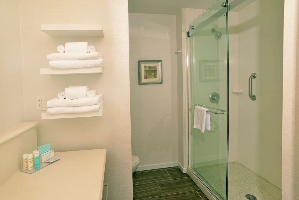 Hampton Inn Springfield Southeast - photo 21