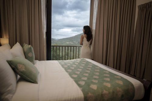 Tea & Tranquility by Moksha Stays — Erattupetta — photo 3
