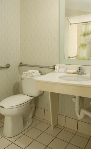 Springhill Suites Convention Ctr Intl Drive Area