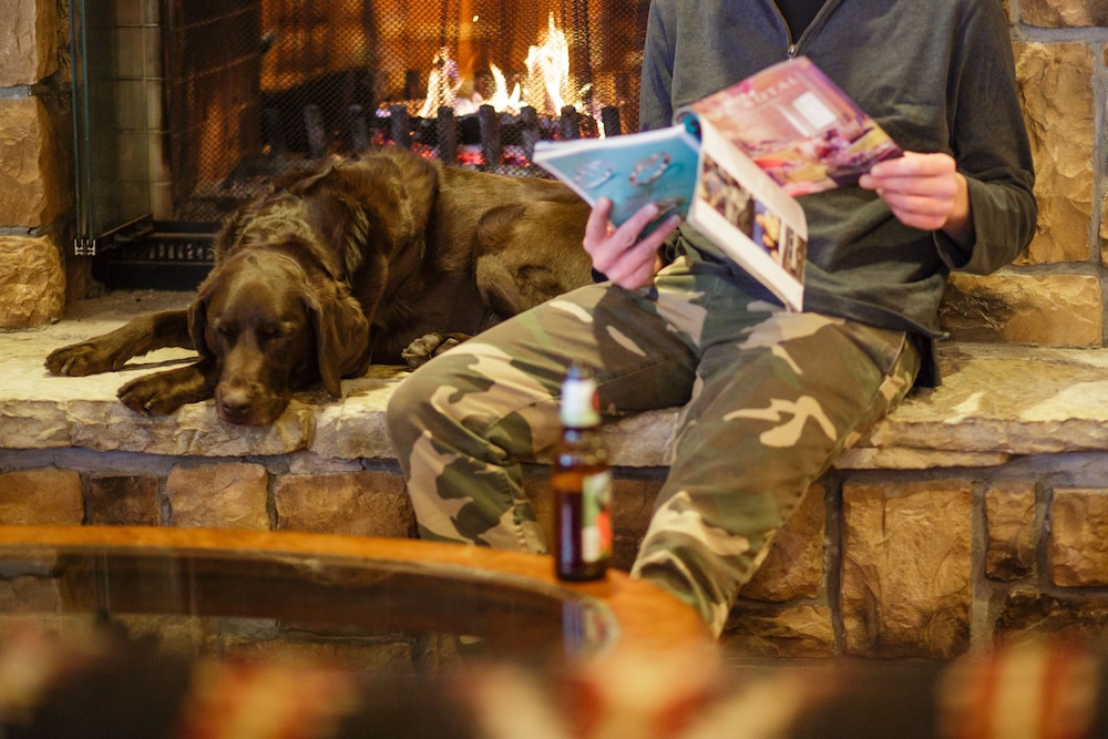 High Peaks Resort - photo 4