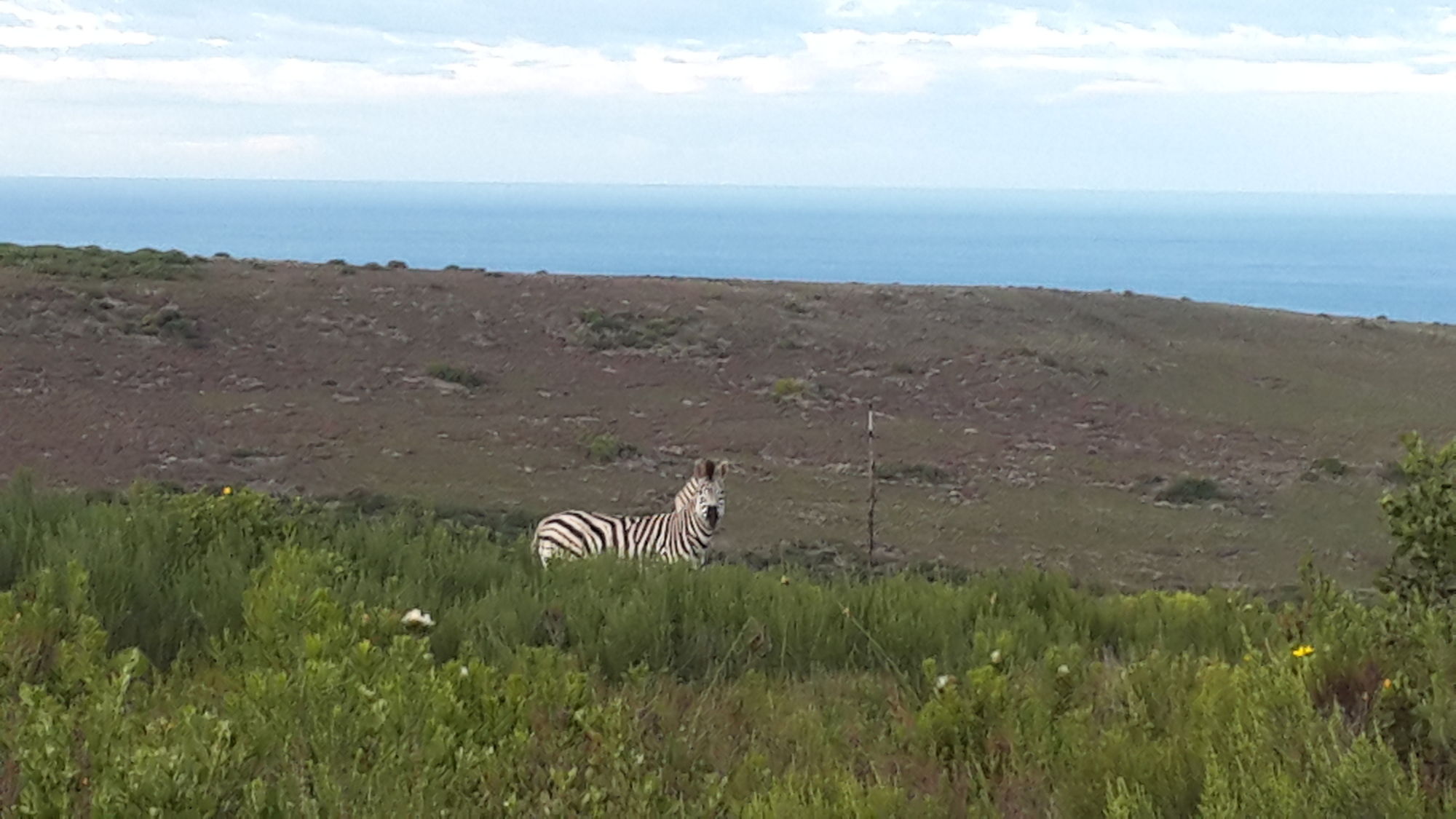 Lodge 93 Pinnacle Point Beach and Golf Resort in Mossel Bay, South Africa
