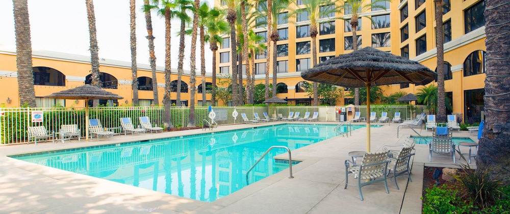 Delta Hotels by Marriott Anaheim Garden Grove - photo 14
