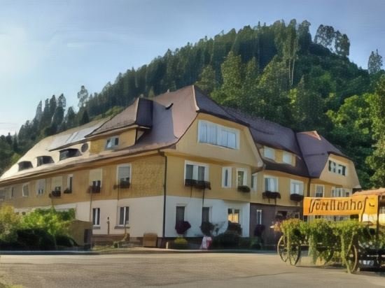 Hotel Teinachtal — hotel in Neubulach