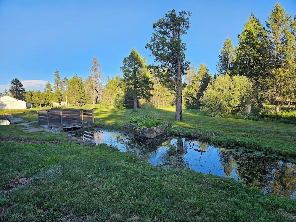 The Black Forest Lodge - photo 29