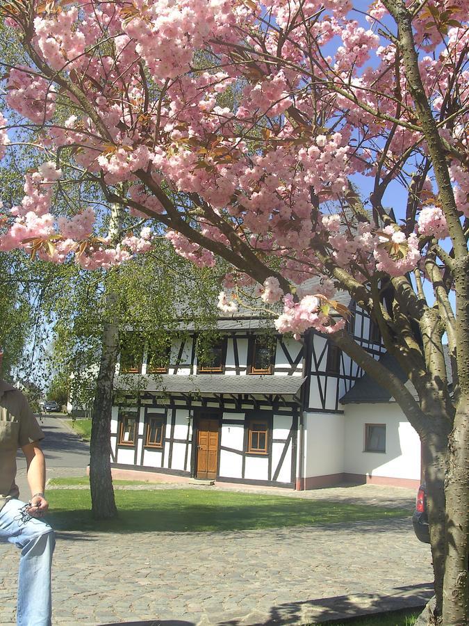 Ferienhaus Schmitt — hotel in Beltheim