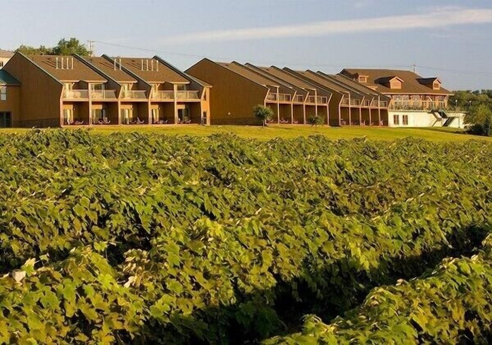 The Inn at Glenora Wine Cellars in Dundee, United States