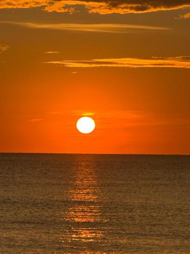 Vera s vacation — Bradenton — photo 2