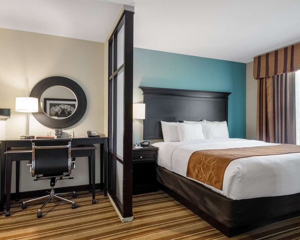 Comfort Suites Topeka Northwest - photo 15