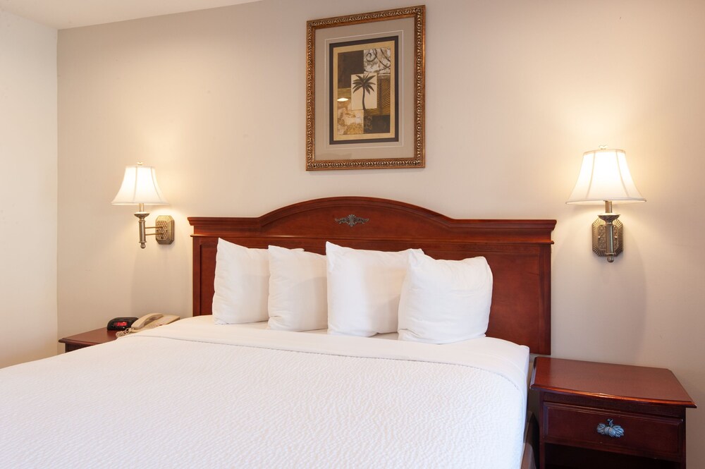 Studio City Court Yard Hotel - photo 20