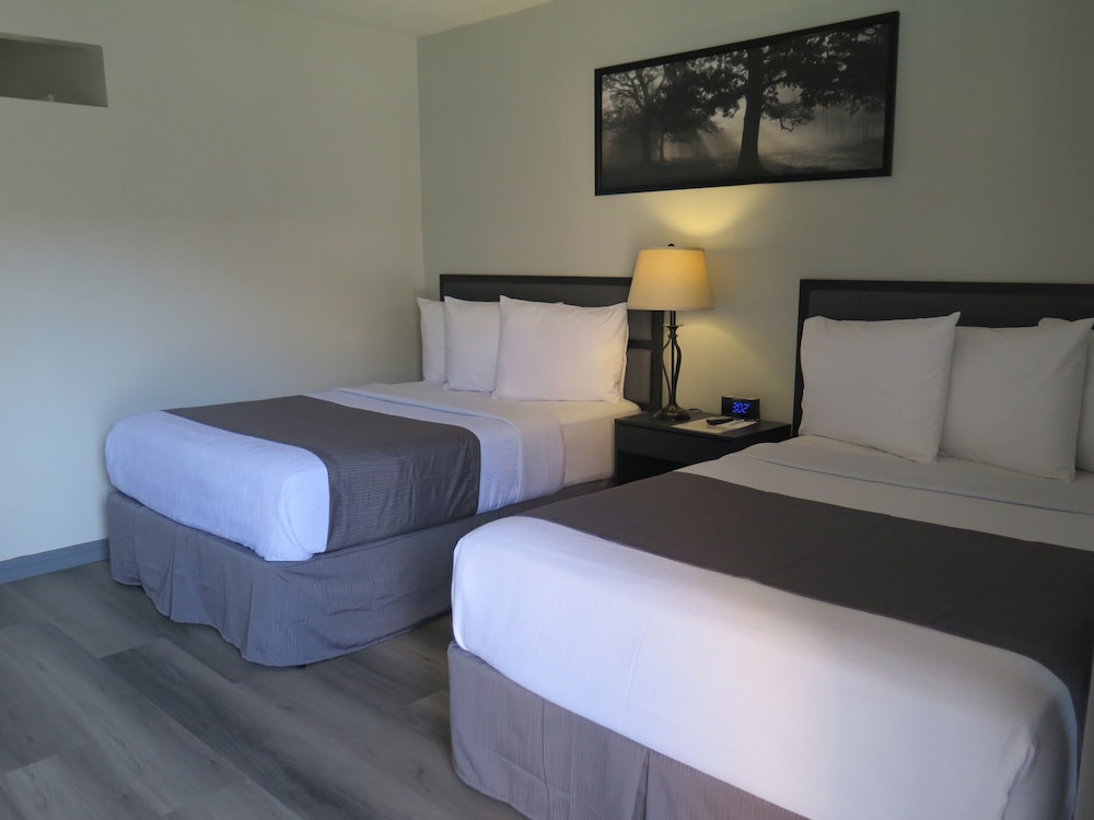 Dtla Hotel - photo 15