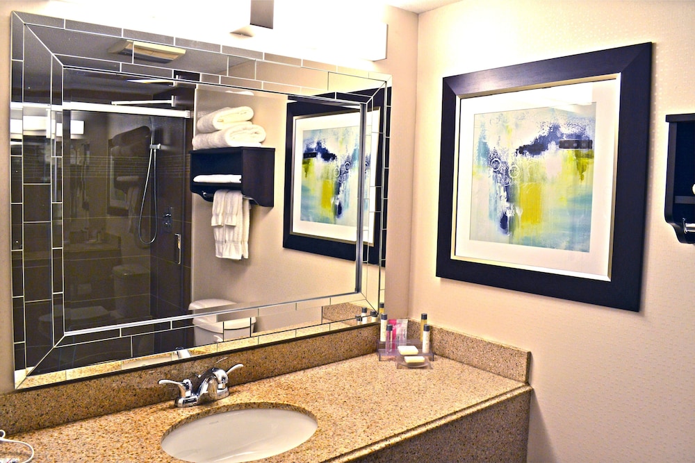 Holiday Inn & Suites Syracuse Airport Liverpool by IHG - photo 28