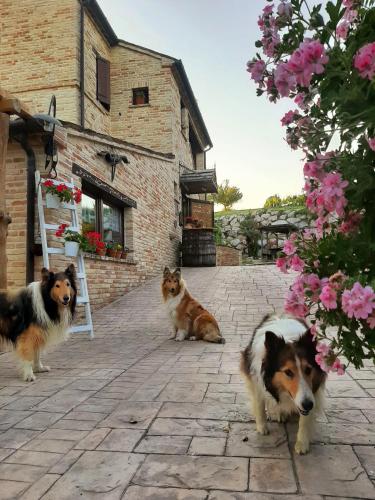 Il Casale dell'Acquabona — 4-Star Luxury Hotel in Montefano, Italy