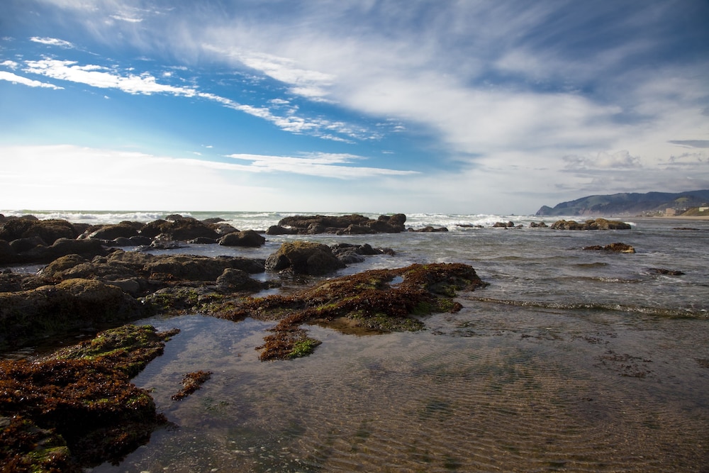 The Coho Oceanfront Lodge - photo 61
